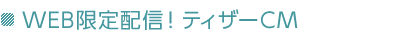 WEB����z�M�I�e�B�U�[CM