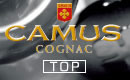 CAMUS COGNAC [ TOP ]