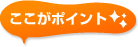 �������|�C���g