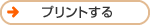 �v�����g����