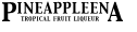 �p�C�i�b�v���[�i