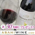 �y���C���R���z�u�g���C�A���O���E�h�[���v�Ԕ��Z�b�g�A�u�T���^�E�A�i�E�G�R�v�Ԕ��Z�b�g�i�e750ml�j ���e30���l�Ƀv���[���g