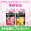 �y�A�T�q �J�N�e���p�[�g�i�[�z�t����ʁ@45���l�Ƀv���[���g�I