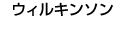 �E�C���L���\��