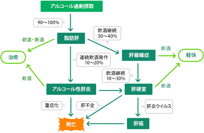 アルコール代謝のしくみ 人とお酒のイイ関係 アサヒビール