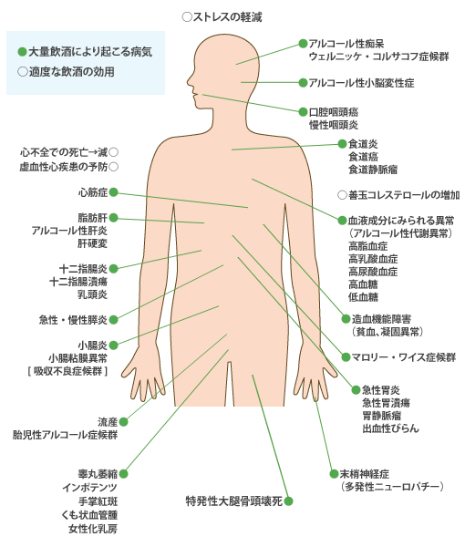 大量飲酒による身体への影響 人とお酒のイイ関係 アサヒビール